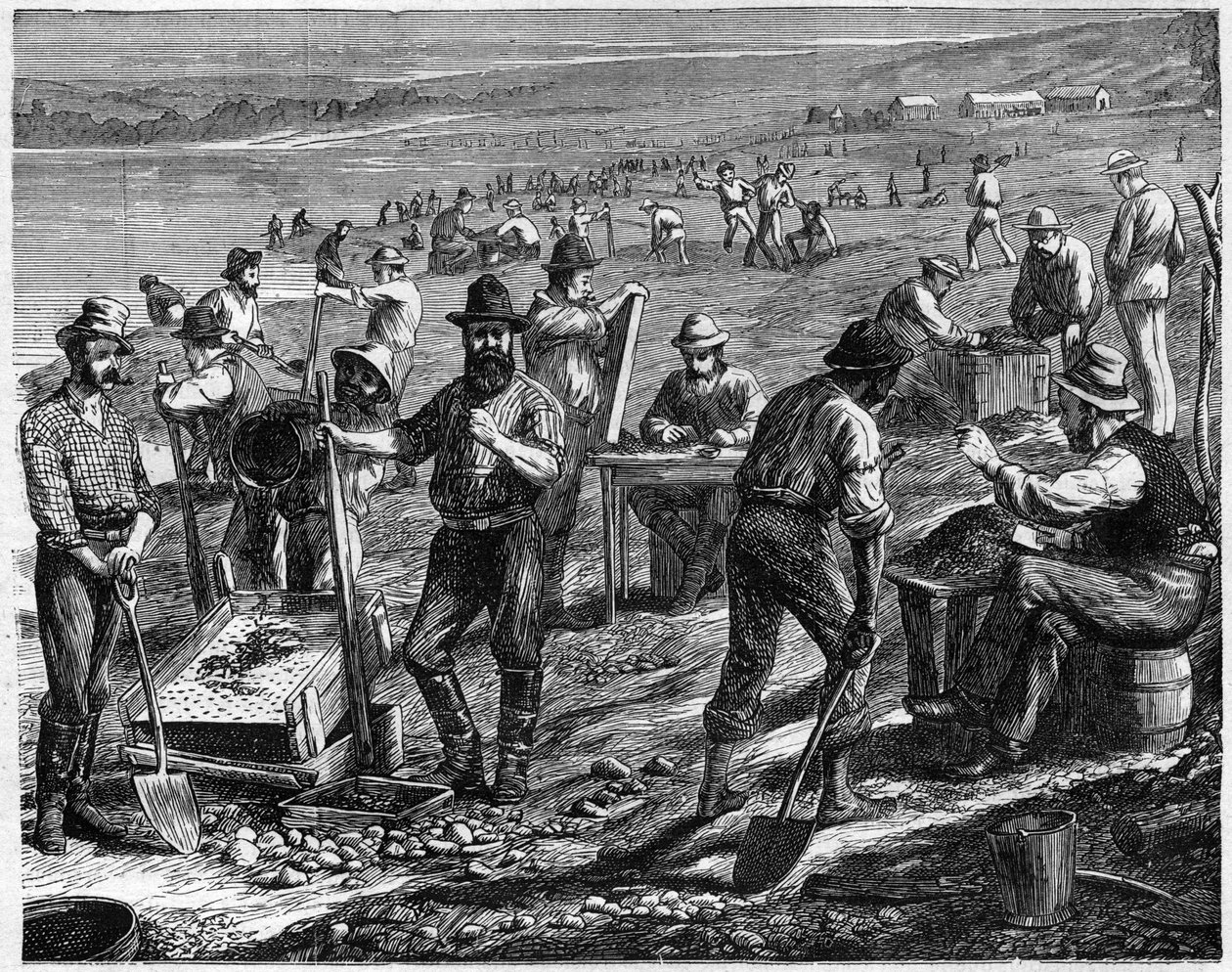 The Diamond Fields at the Cape - Washing for Diamonds - Tvätta diamanter i Sydafrika på 1800-talet. av Unknown artist