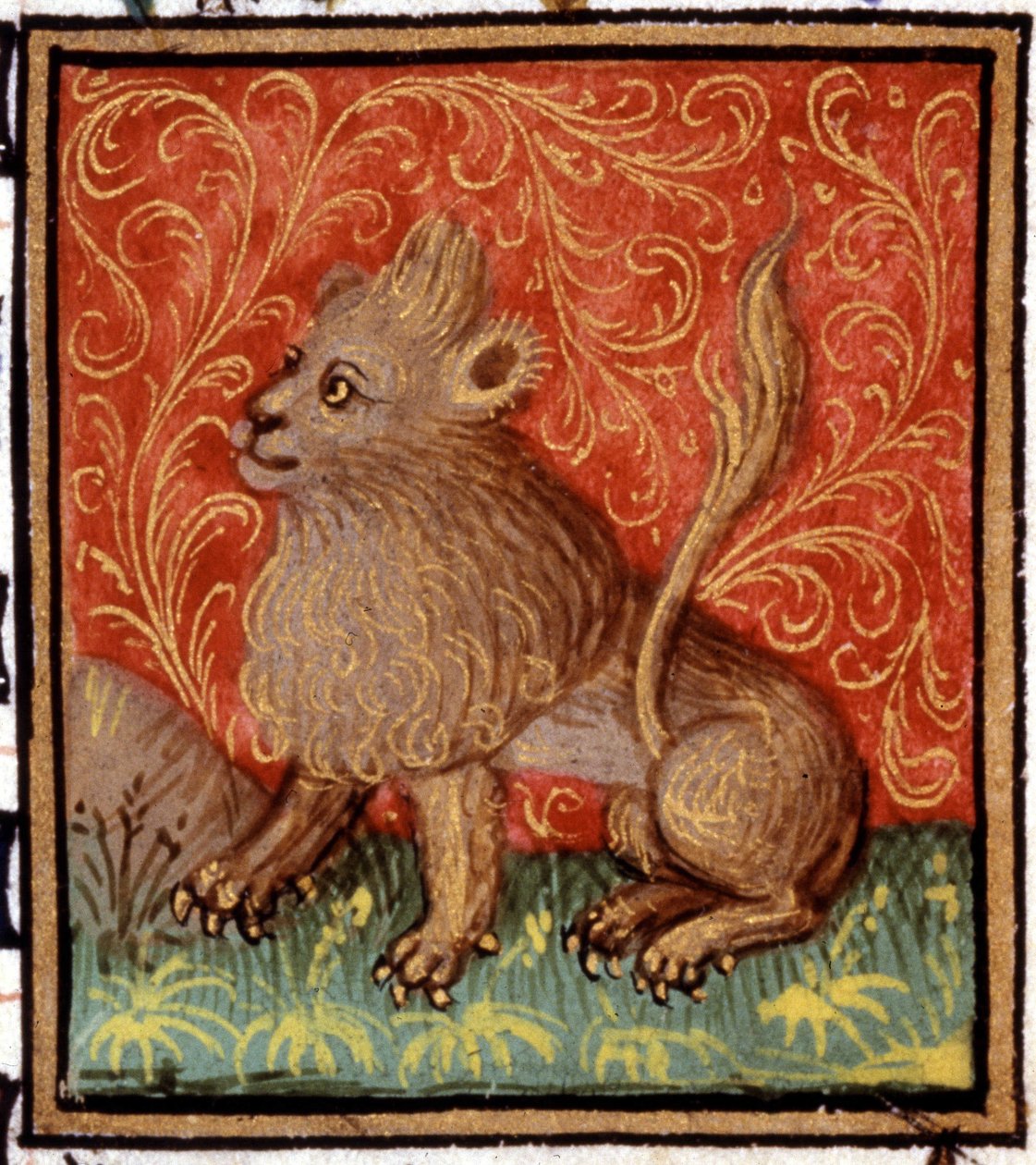 Lejonet. Miniatyr av ett horoskop. 1400-talsmanuskript. Bibl. Trivulziana, Milano. av Unknown artist