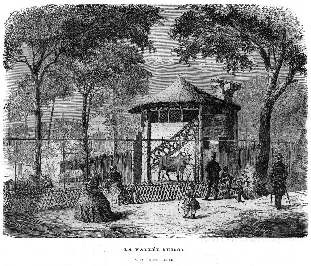 Den schweiziska dalen i växternas trädgård i Paris 1858. av Unknown artist