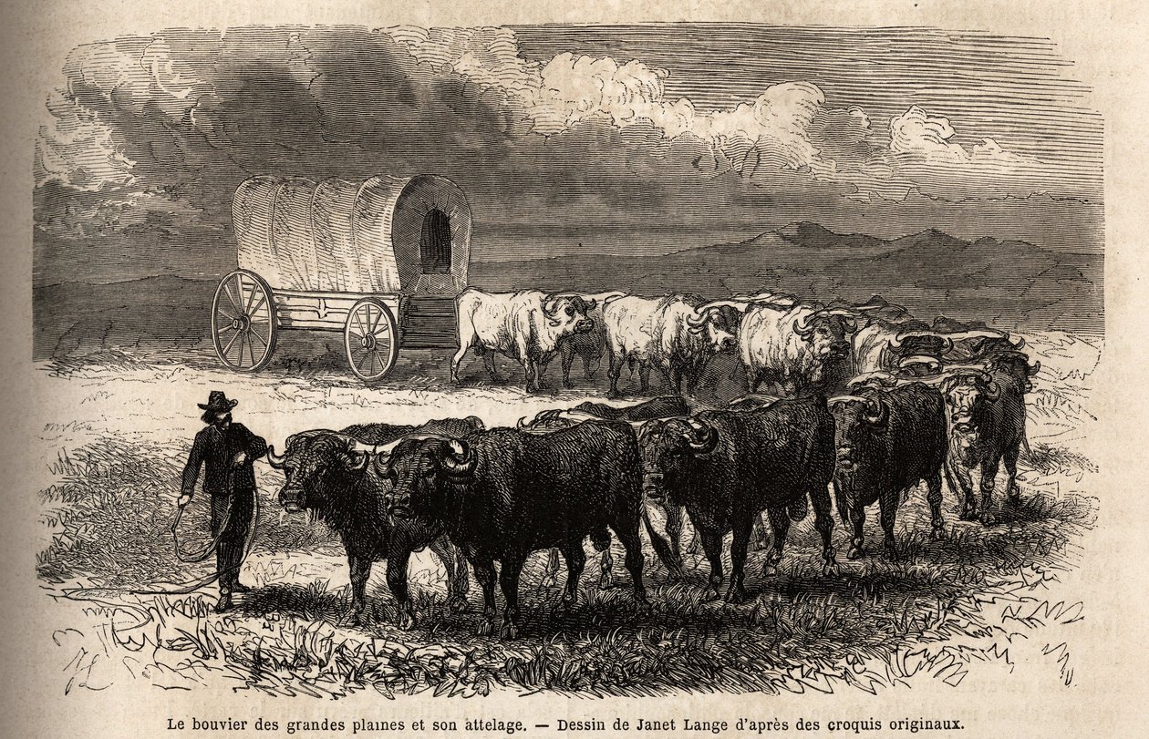 De stora vidderna styr och dess krok. Gravyr för illustration av resan till amerikanska fjärran västern, av M. L. Simonin, 1867, publicerad i "Le tour du monde, nouveau journal des voyages", redigerad av Edouard Charton av Unknown artist