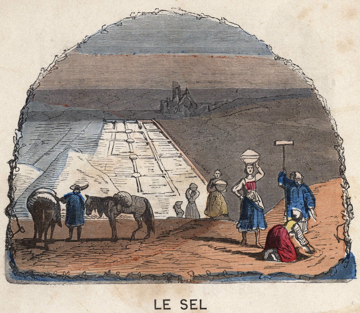 Samlingen av salt. 1800-talsillustration. Bianchetti samling. av Unknown artist