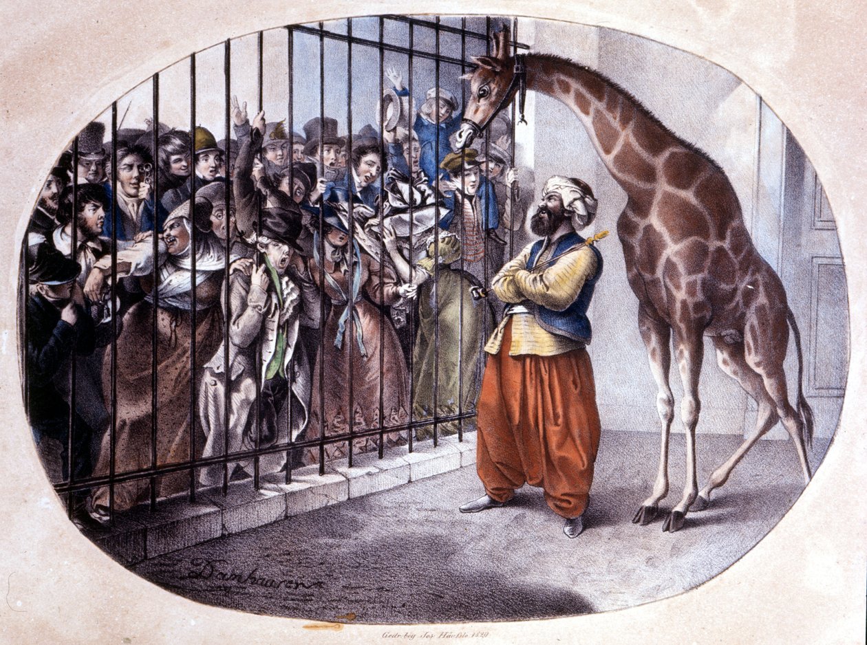 Den nyfikna folkmassan rusade för att se en giraff bakom en grind. Litografi av Danhaaren. 1829 av Unknown artist