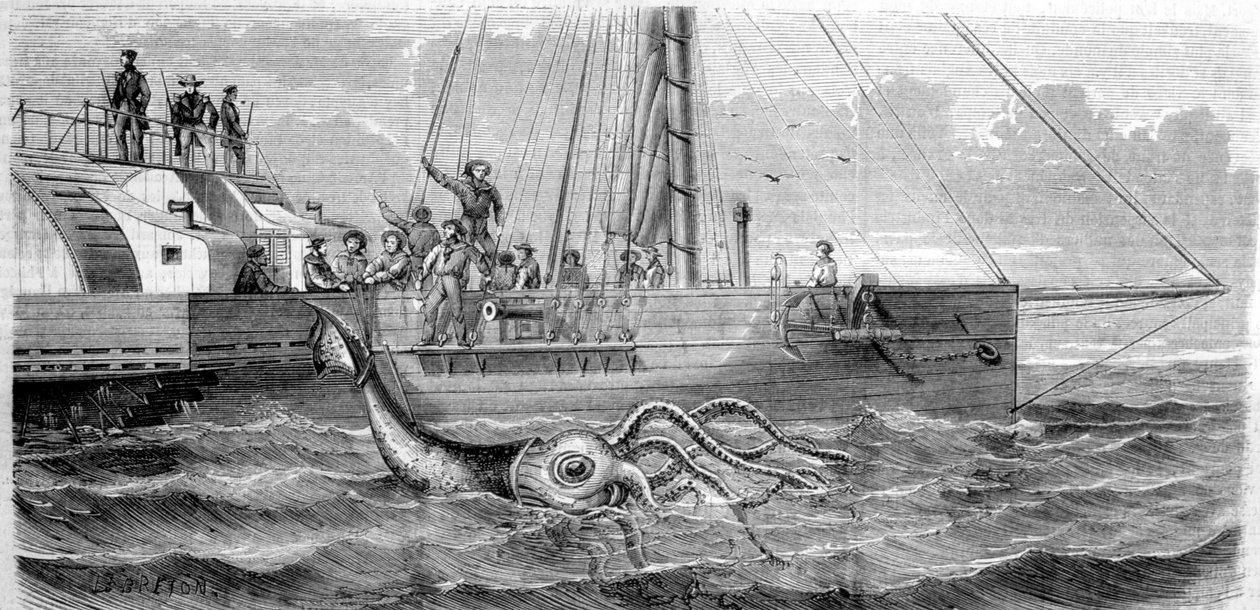 Den första jättebläckfisken som fångades 1861 av den franska korvetten Alecton. När besättningen lyfte ombord honom bröt han på mitten och försvann till havets botten. Gravyr från slutet av 1800-talet. Breton av Unknown artist