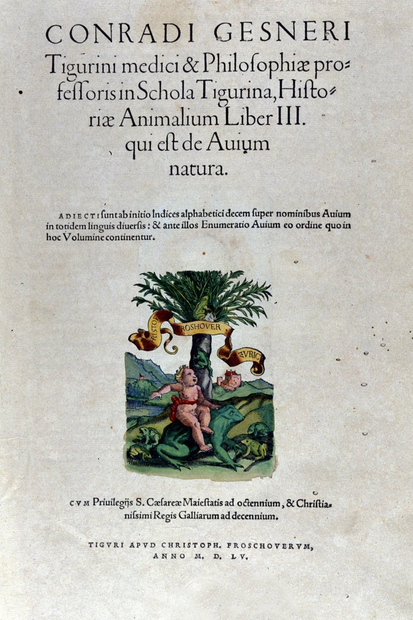 Framsidan av tredje volymen av Historia Animalium av Conrad Gesner (1516 - 1565), Tiguri av Unknown artist