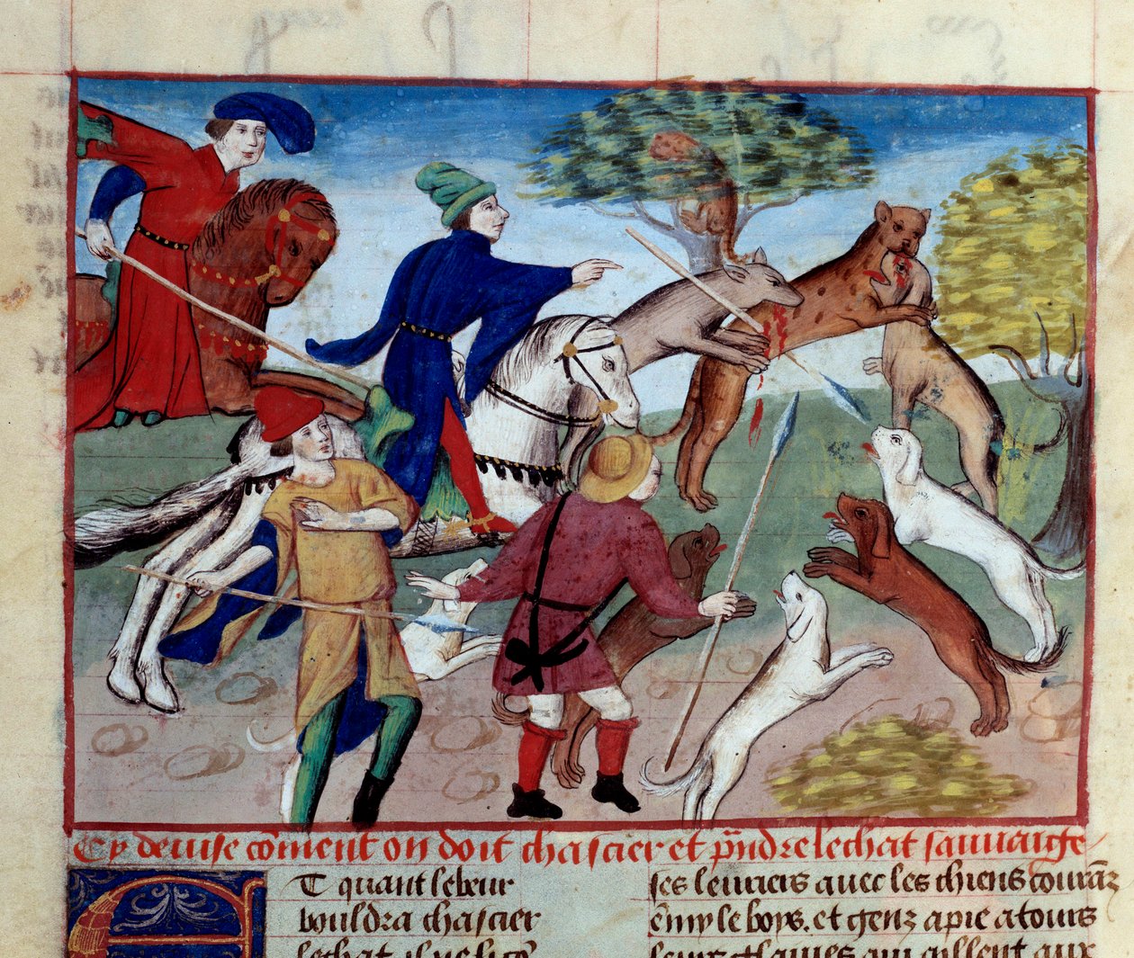Jakten på vildkatt Miniatyr hämtad från "" Jaktens bok"" av Gaston III Phoebus, greve av Foix, Lord of Bearn (1331-1391) av Unknown artist