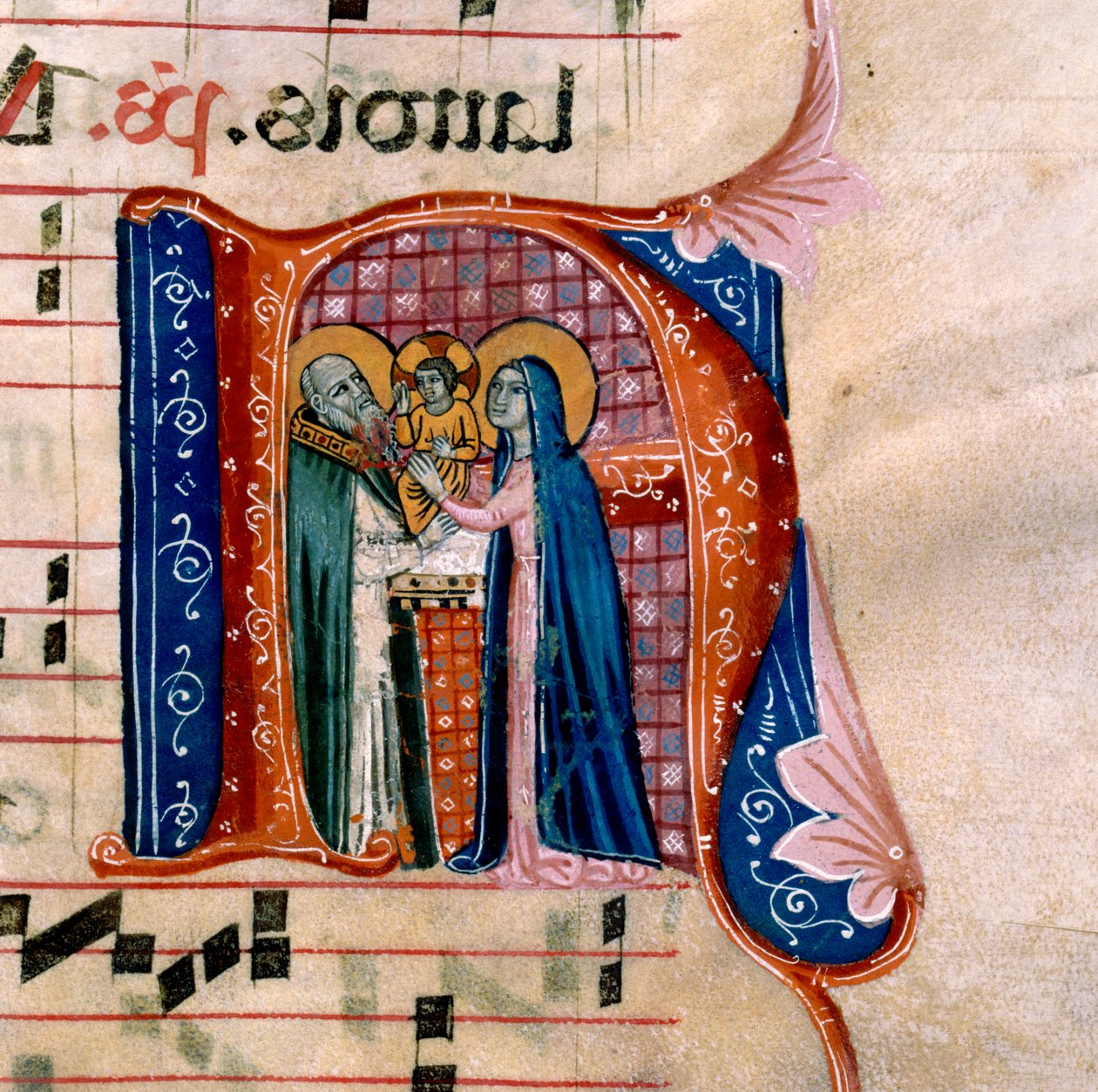 Bokstaven "N" med en skildring av presentationen vid templet: f.36v av Antifonariet av Unknown artist