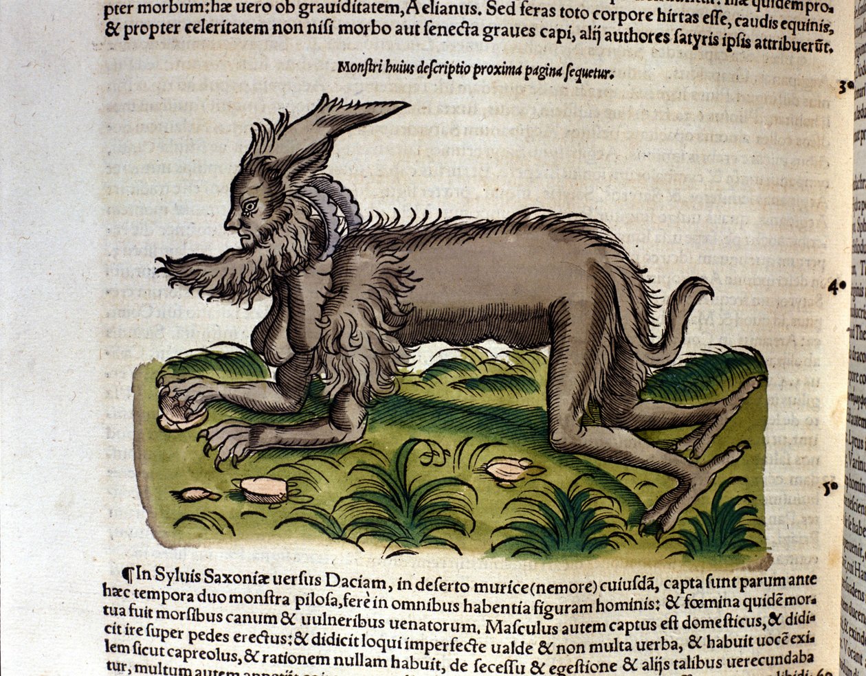 Manticore från Historia Animalium av Conrad Gesner, Tiguri 1560. Biblioteca Nazionale Braidense. Milano av Unknown artist