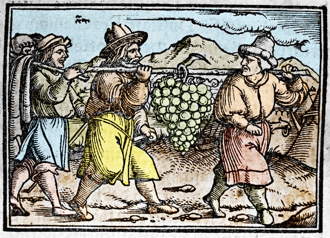 Josuas och Kalebs återkomst med ett enormt druvklase från Kanaans land (förlovat land). Krönika av Johann Stumpff "" Den edlen strucen besten fromen"" av Unknown artist
