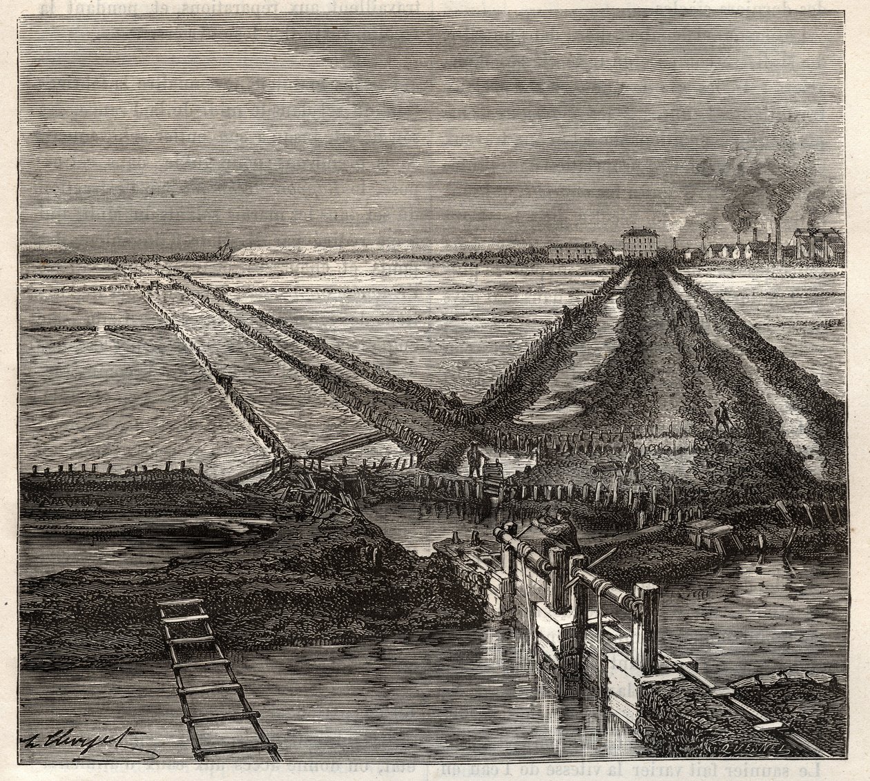 Saltkärret i Giraud i Camargue (Bouches-du-Rhone), vy tagen från servicekanalen - gravering i 