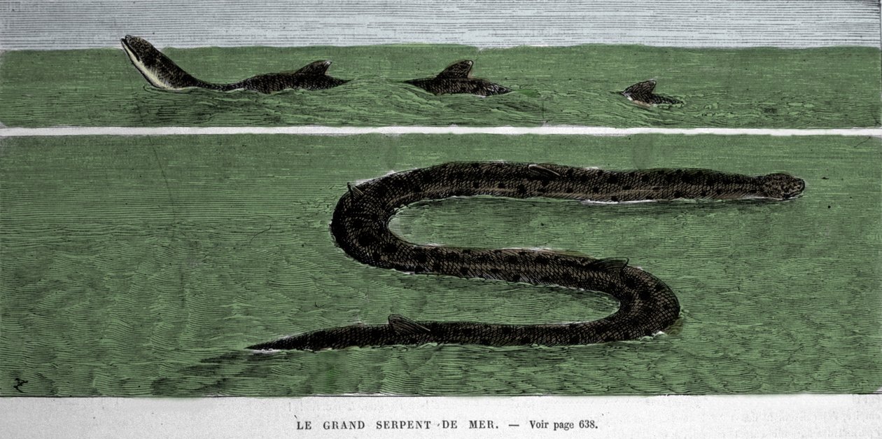 Havsormen observerades 1872 i Meridional Atlanten. av Unknown artist