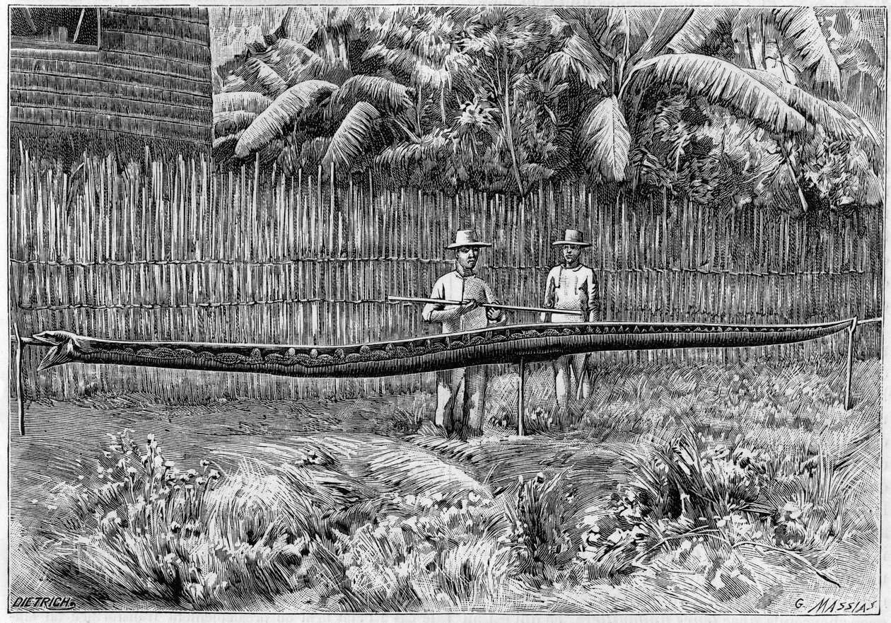 Huden på en Python-orm, 6,60 m lång, fångad på Filippinerna. (Från ett fotografi). Gravyr i "" La Nature: revue des sciences et de leurs applications aux arts et a l
