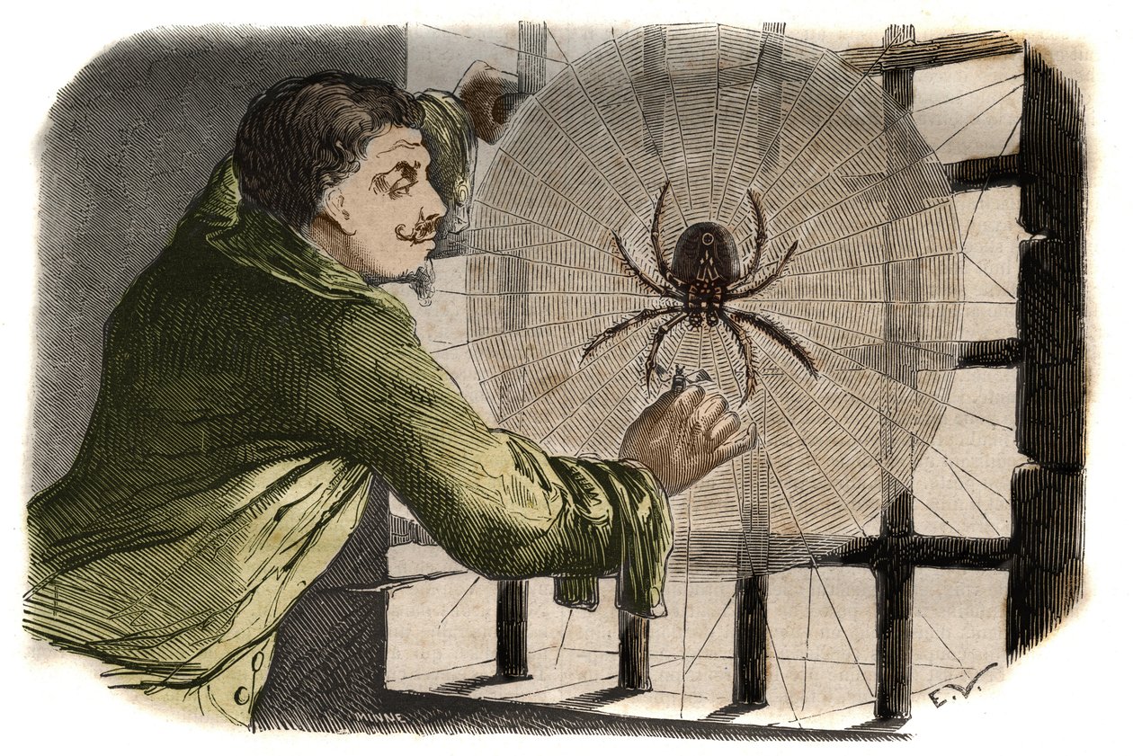 Författaren Paul Pellisson (Paul Pellisson-Fontanier dit) (Pellisson Fontanier) (1624-1693) tämjer en araignee under hans fängelse vid Bastiljen. Gravyr från 1858 i "" Le Musee Des Sciences"" av Unknown artist