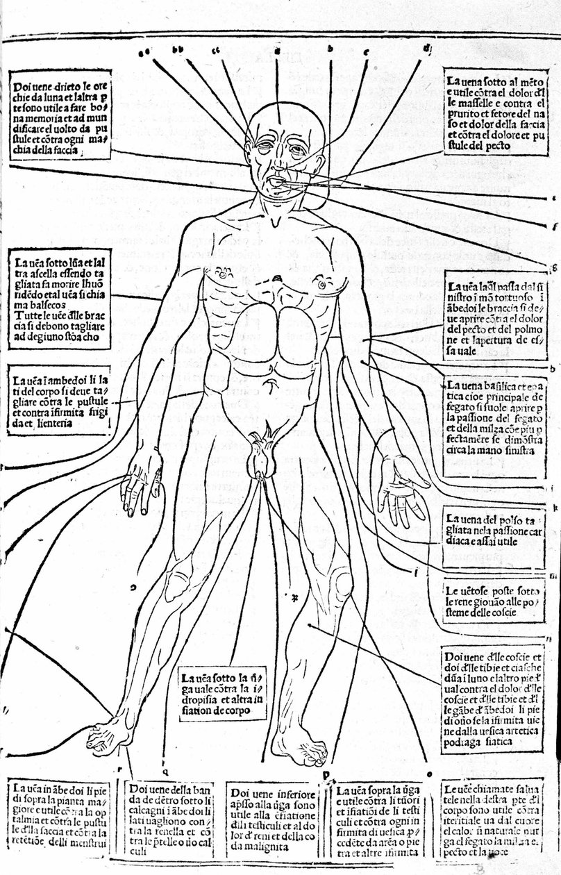 Den här bilden visar platserna på kroppen eller övningsblödning beroende på smärtan. Avhandling om medicin av Gerolamo Cardano (Cardanus Hieronymus), Florens av Unknown artist