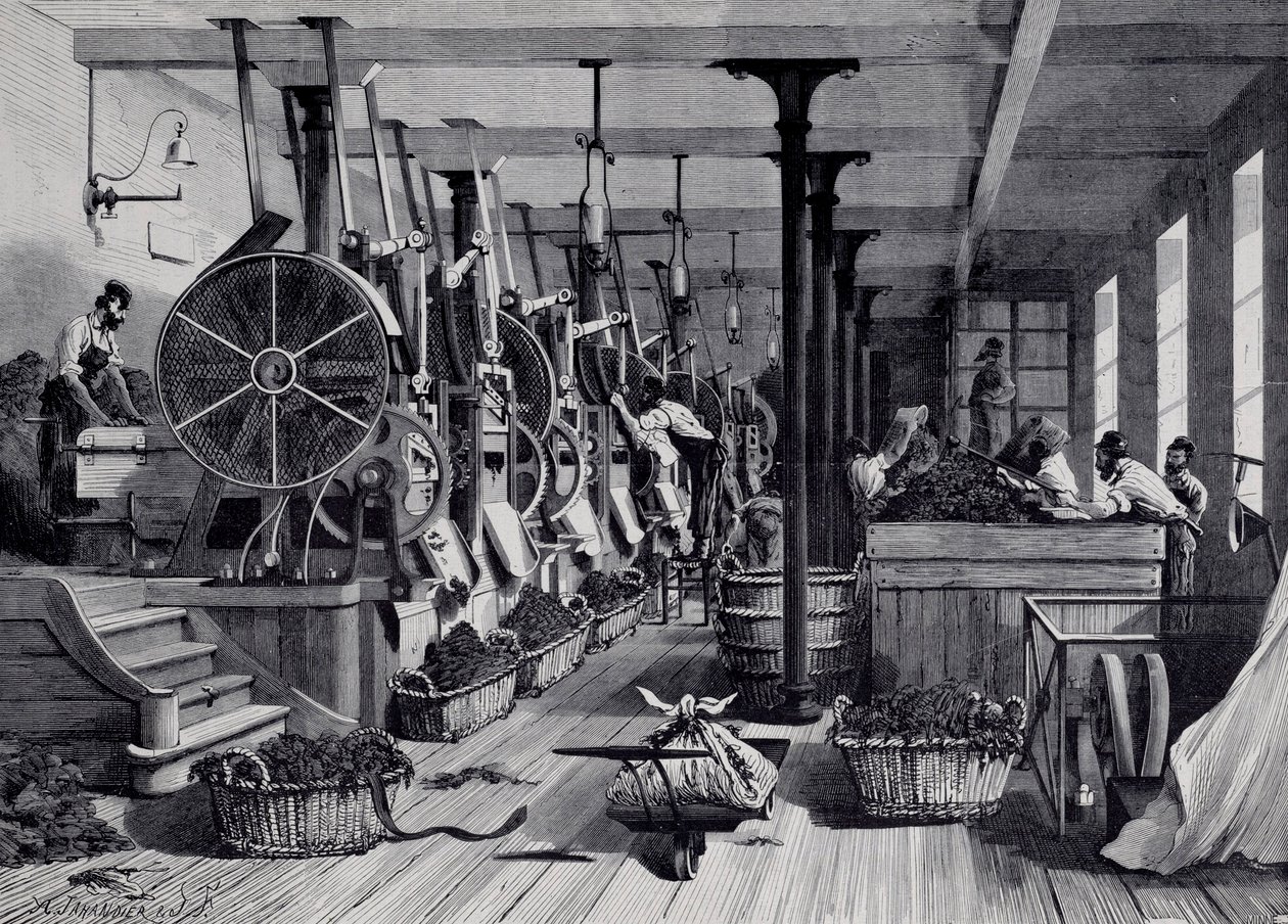 Tobaksfabrik, tvättstuga och tobaksrapage. Gravyr omkring 1867. Paris, Musee Carnavalet av Unknown artist