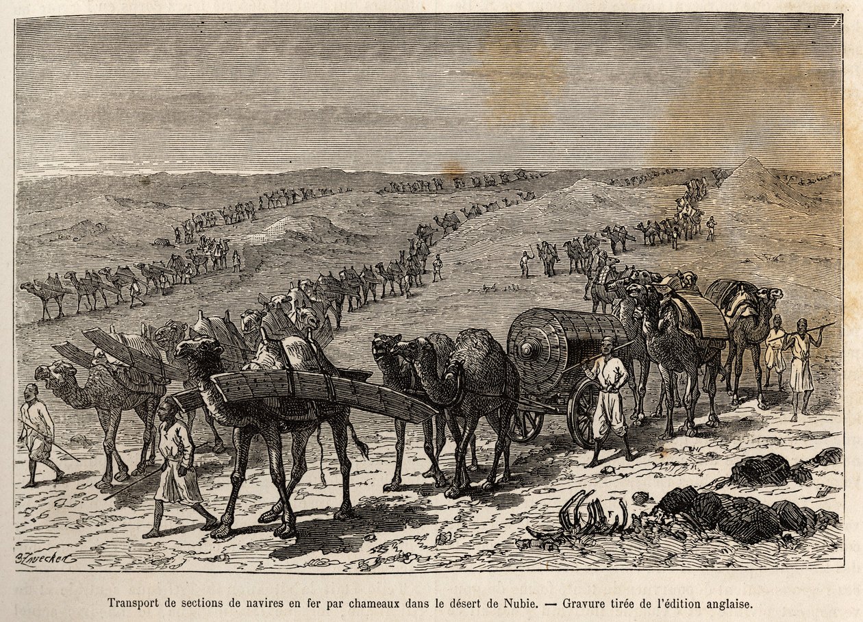 Transport av järnskeppssektioner med kameler, i öknen i Nubien (Sudan), gravyr som illustrerar en väpnad expedition i Centralafrika, för att bekämpa svarthandeln av Unknown artist