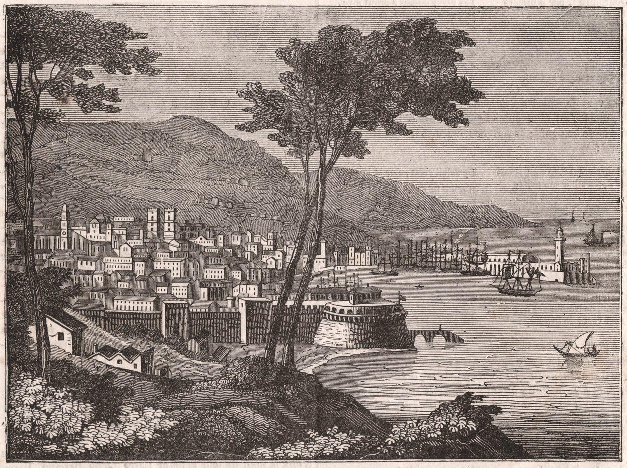 Utsikt från en trädbevuxen kulle i staden Barcelona, Katalonien, Spanien av Unknown
