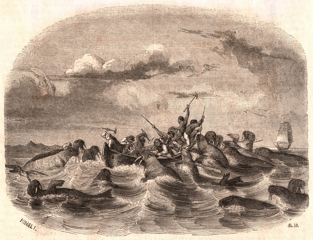 Vy över en grupp engelska sjömän som jagade en valrossflock 1818 utanför Spetsbergens kust av Unknown