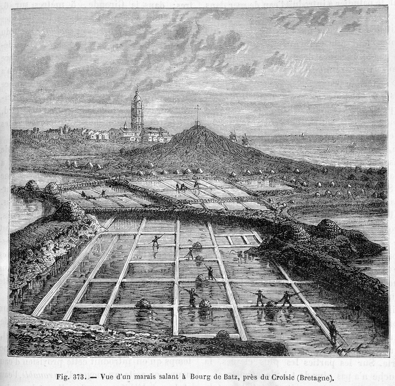 Utsikt över ett saltkärr i Bourg de Batz, nära Croisic (Bretagne) - i "" Industrins underverk"" av Louis Figuier av Unknown artist