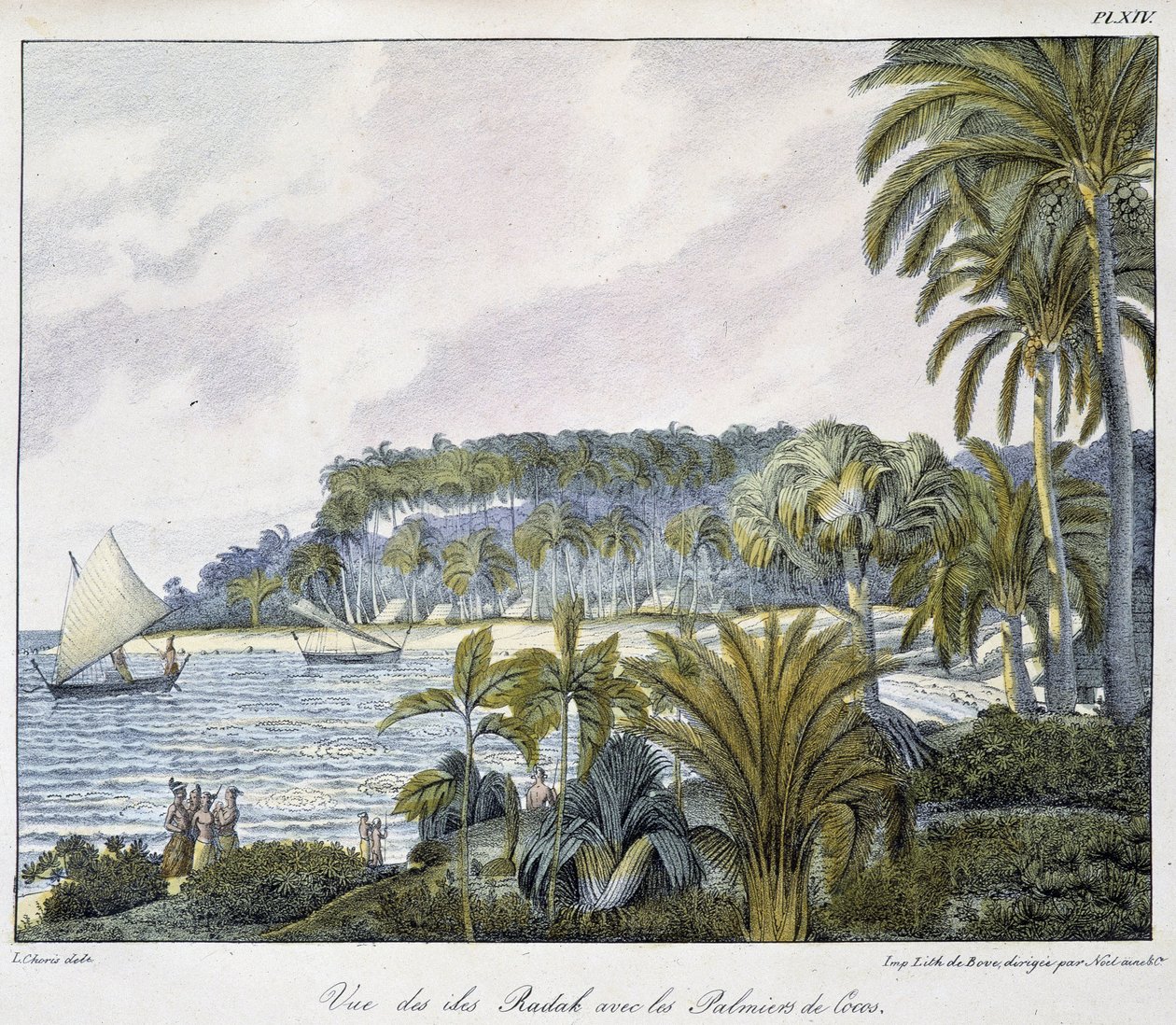 Utsikt över Radaköarna i Marshallöarnas skärgård. av Unknown artist
