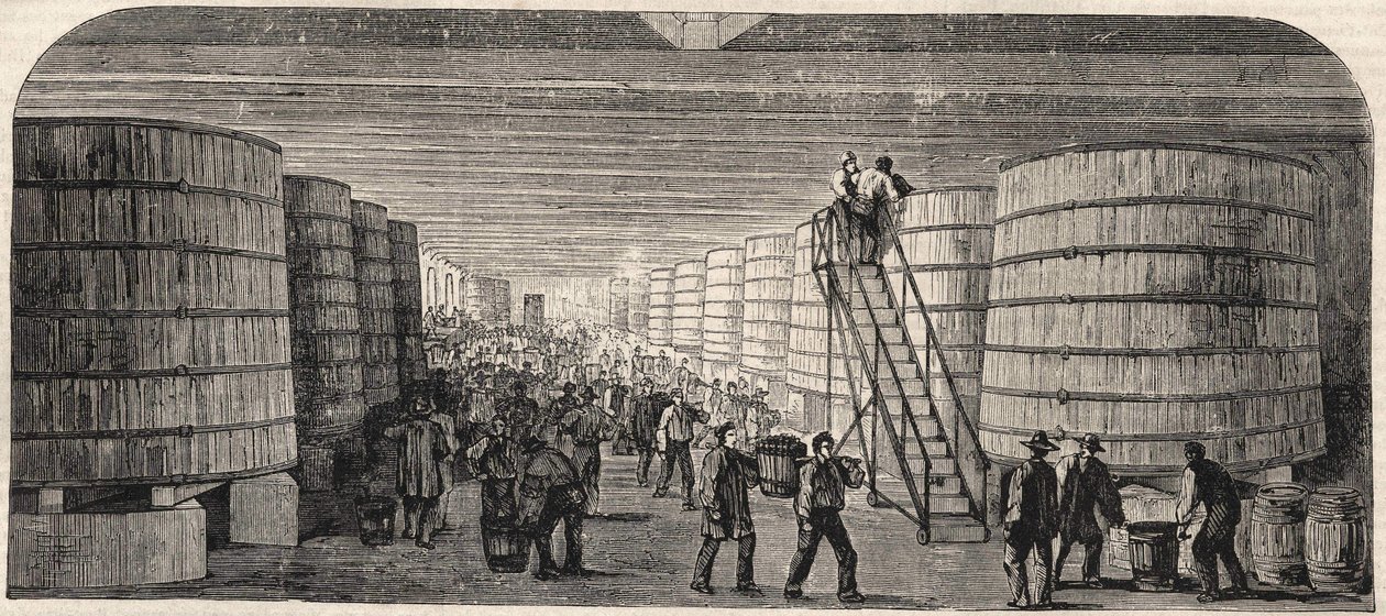 Utsikt över källaren på Chateau - Lafitte 1860 av Unknown artist