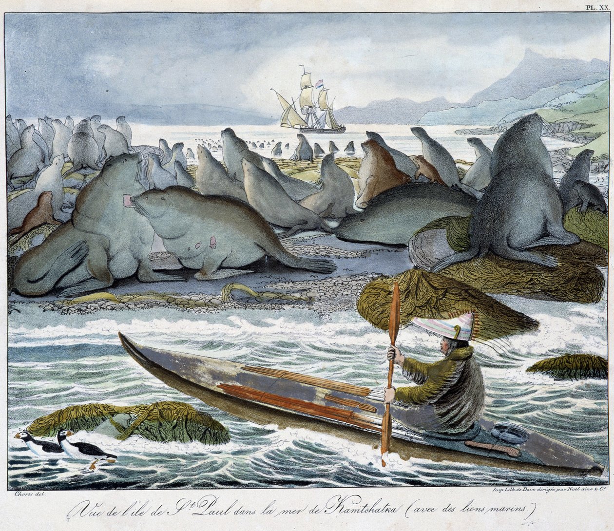 Utsikt över ön St. Paul i havet av Kamchatka med sjölejon. av Unknown artist