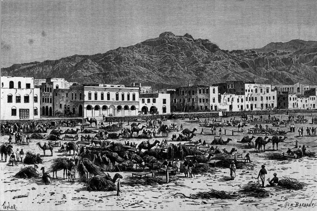 Vy över marschen av Aden i Abessinien. Gravyr omkring 1880 av Unknown artist