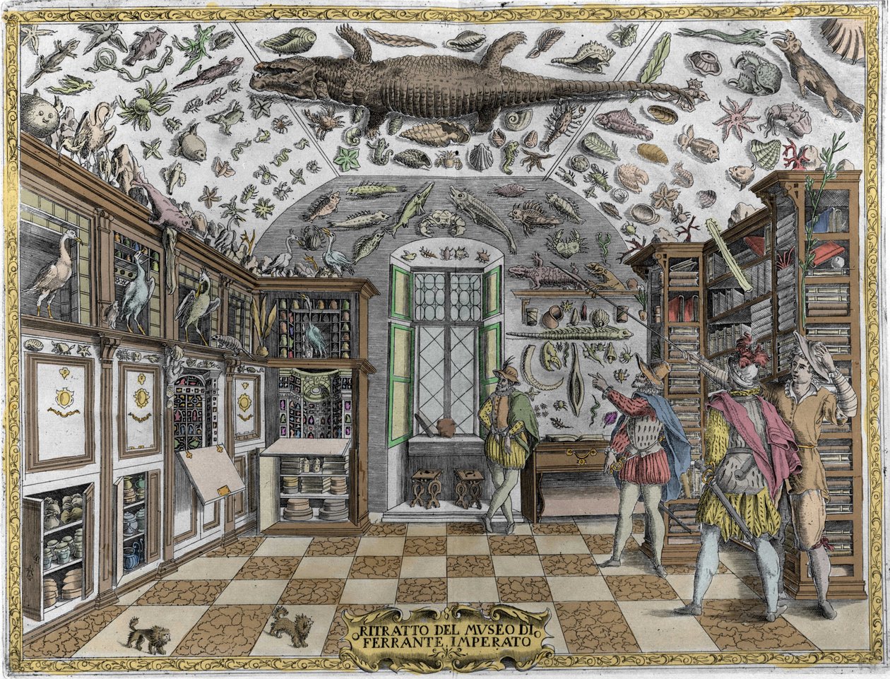 Utsikt över museet (kabinettet) av kuriosa (uppslagsverksmuseum) av apotekaren Ferrante Imperato (1550 - 1631). Gravyr från 1678. Museum för den napolitanska apotekaren Ferrante Imperato. av Unknown artist