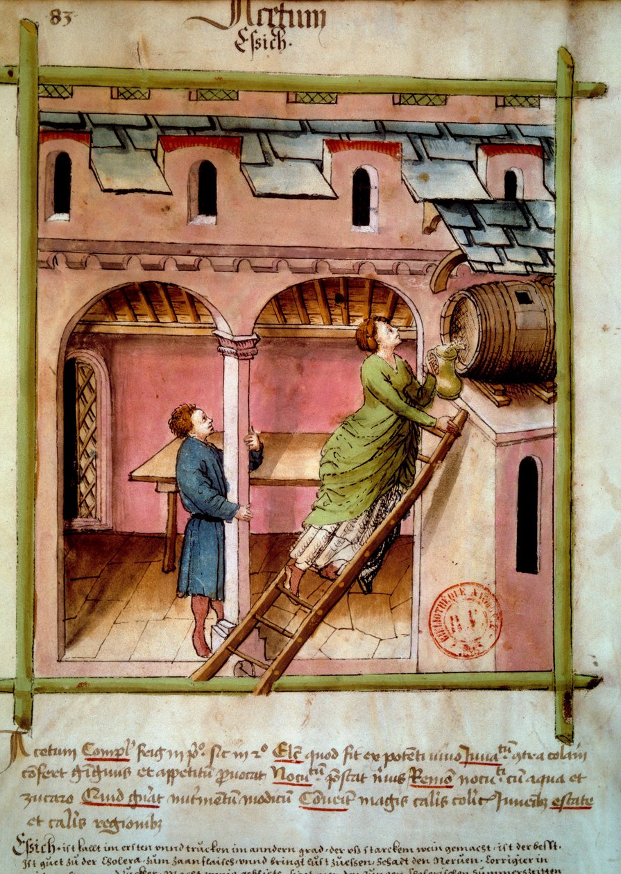 Vinäger: en ung kvinna fyller en kanna. Belysning från mjölkning av medicin och diet "" Tacuinum sanitatis"" av Unknown artist