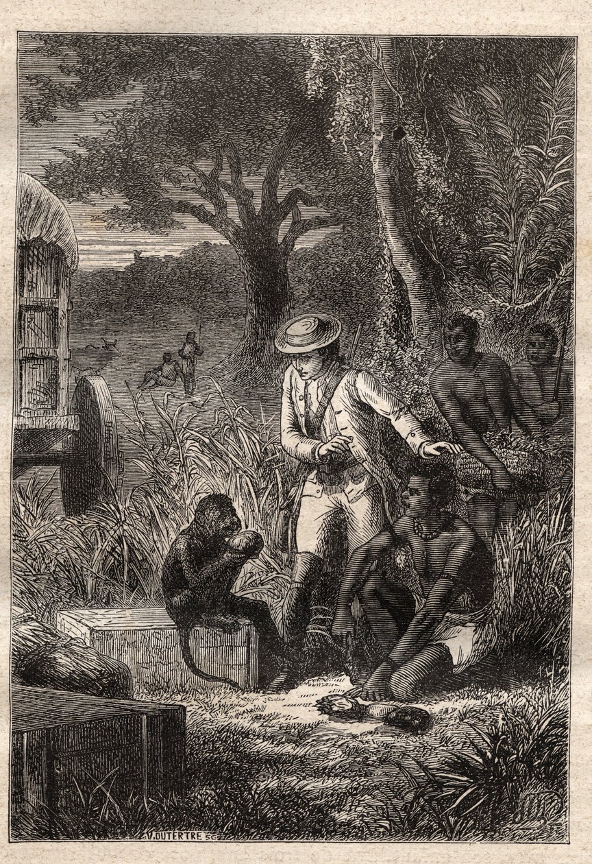Voyage dans la Caffrerie (Sydafrika) (1781) av Francois Levaillant (Le Vaillant) (1753-1824): Levaillant och hans apa degustateur Maitre Kees, som smakar på frukterna och rötterna för att verifiera att de är ätbara - illustration hämtad från "" Les Gra av Unknown artist