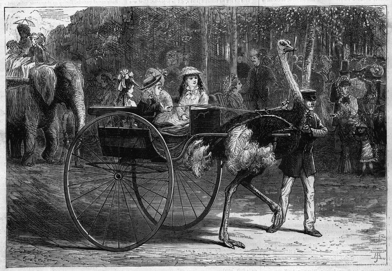 Gå på ryggen av en elefant och barn i en kariola som dras av Österrike. Acklimatiseringsträdgården i Bois de Boulogne i Paris av Unknown artist