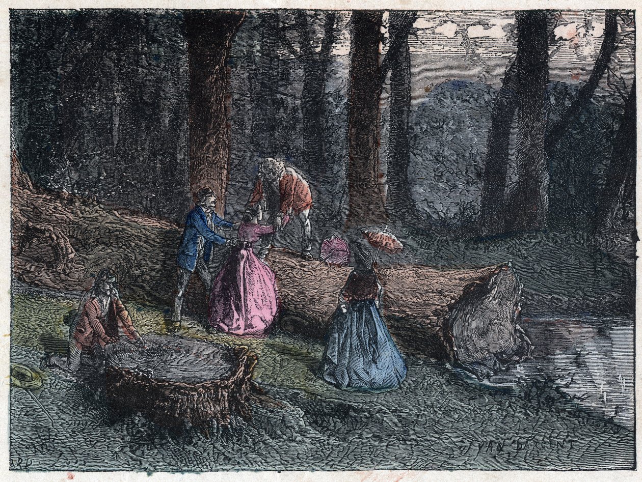 Vandrare försöker beräkna åldern på en död ek genom att studera trädets stam. Gravyr sent 1800-tal. av Unknown artist