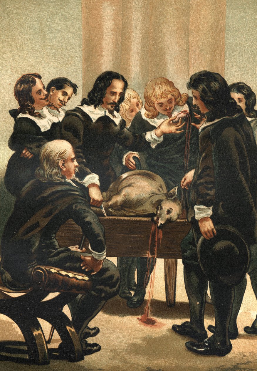 William Harvey (1578-1658) engelsk läkare som demonstrerar blodcirkulationen 1628 av Unknown artist