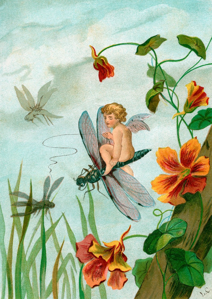 Bevingad fe som rider på en trollslända nära Nasturtium Flowers av Unknown artist
