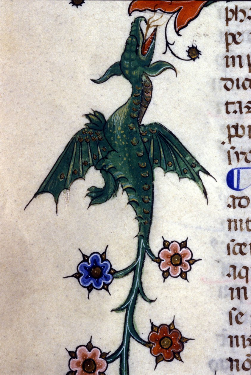 Bevingad drake, Caspic, på ett 1300-talsmanuskript Milano, Biblioteca Nazionale Braidense. av Unknown artist