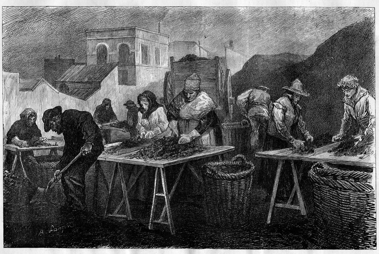 Arbetare i Frankrike: Kokssorterare (variant av kol från destillation av kol, som används vid uppvärmning) i en gasfabrik i Paris Gravering i "Le Monde Illustré"" av Unknown artist