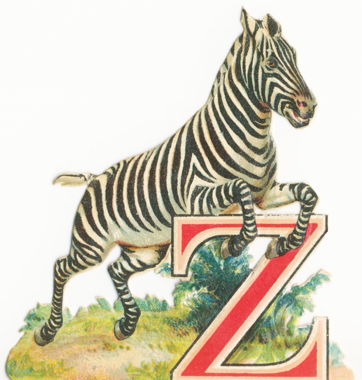 Från: Zebra av Unknown artist
