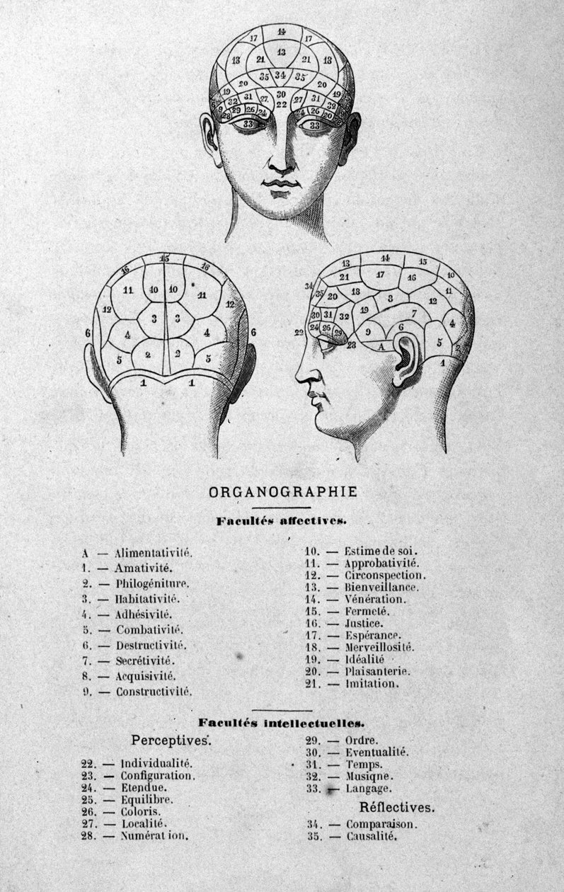 illustration från Charles Rouvins bok från 1873 Organographie La Tête humaine, illustrerade studier av frenologi och fysionomi tillämpade på kända karaktärer Paris 1873 av Unknown artist