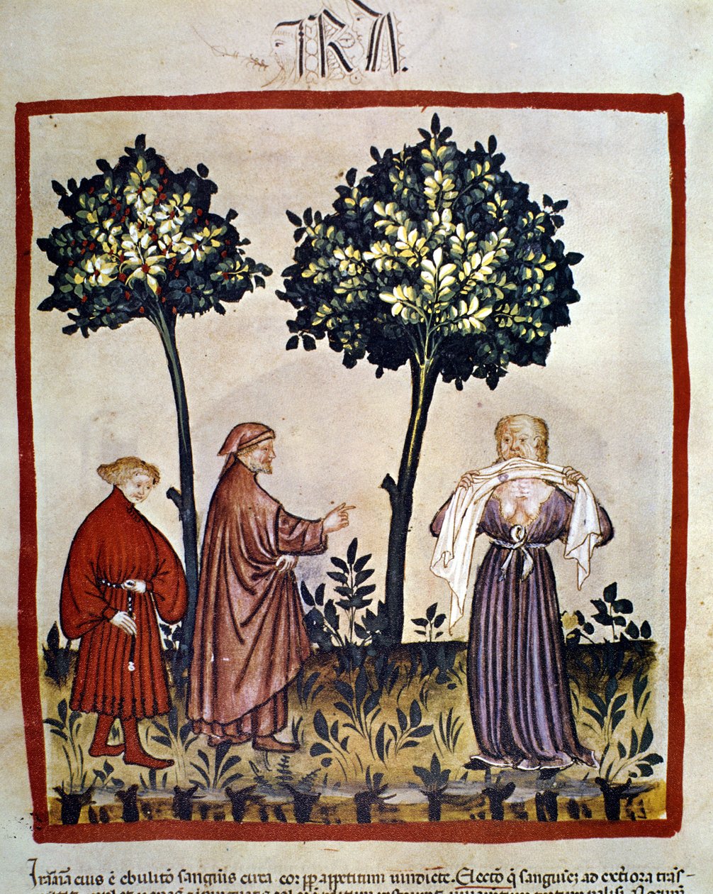 rabies eller arg person som klämmer vävnad mellan tänderna. Belysning av 1300-talet av "Tacuinum Sanitatis", Wien, Nationalbiblioteket. av Unknown artist