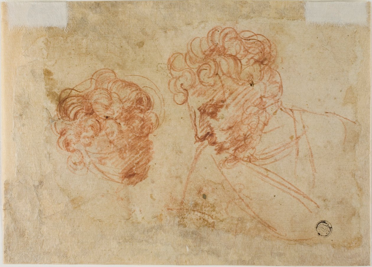 Två skisser av huvuden (recto); Två skisser av draperad kvinna (verso) av Unknown Florentine