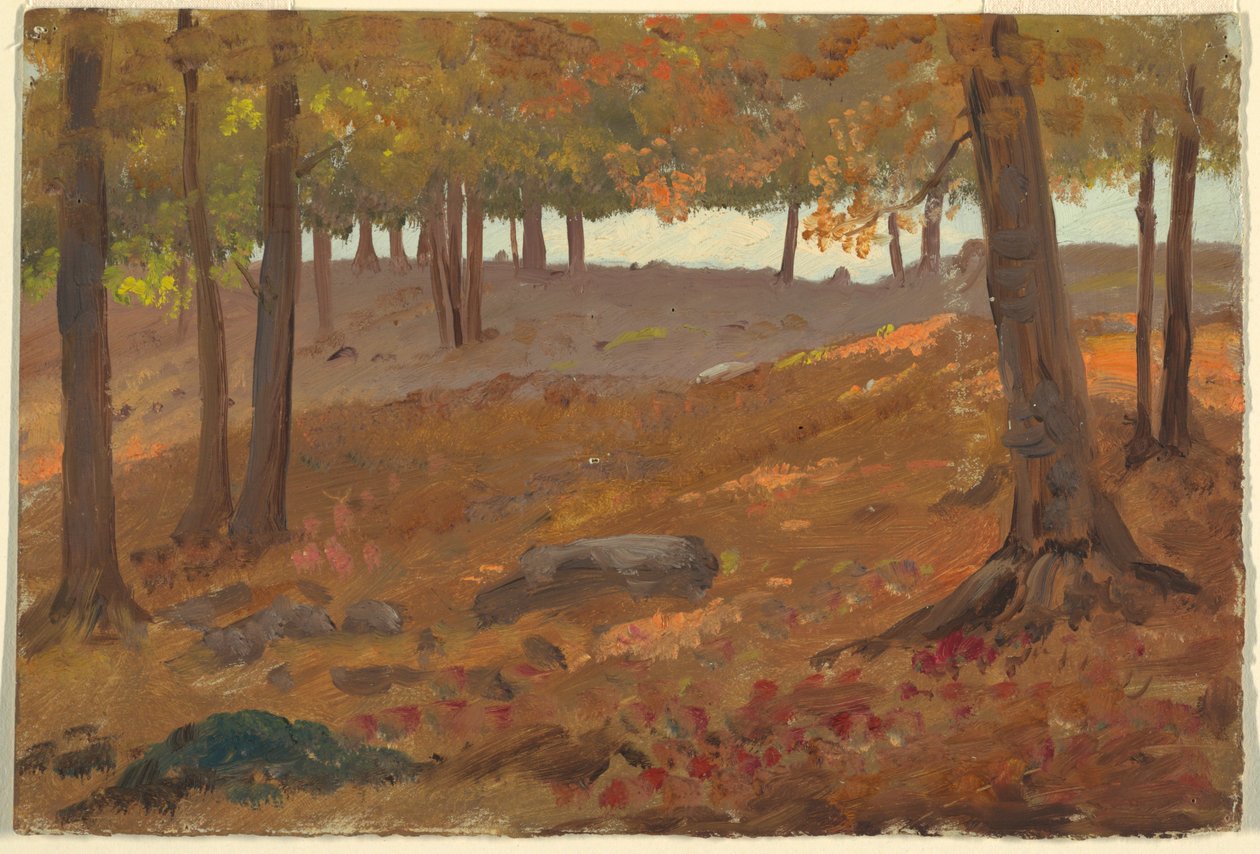 Teckning, Skog på hösten, 1870-80 av Unknown artistUnknown artist