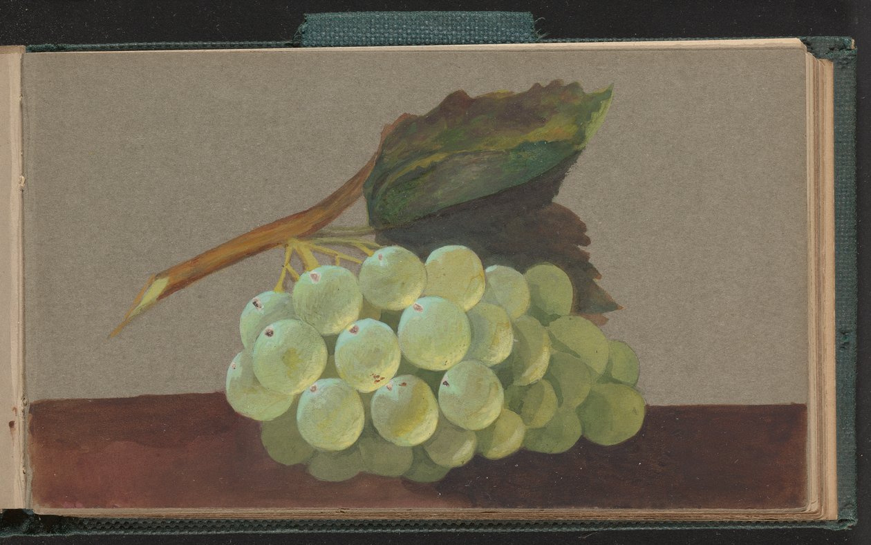 En massa vindruvor av Unknown artist