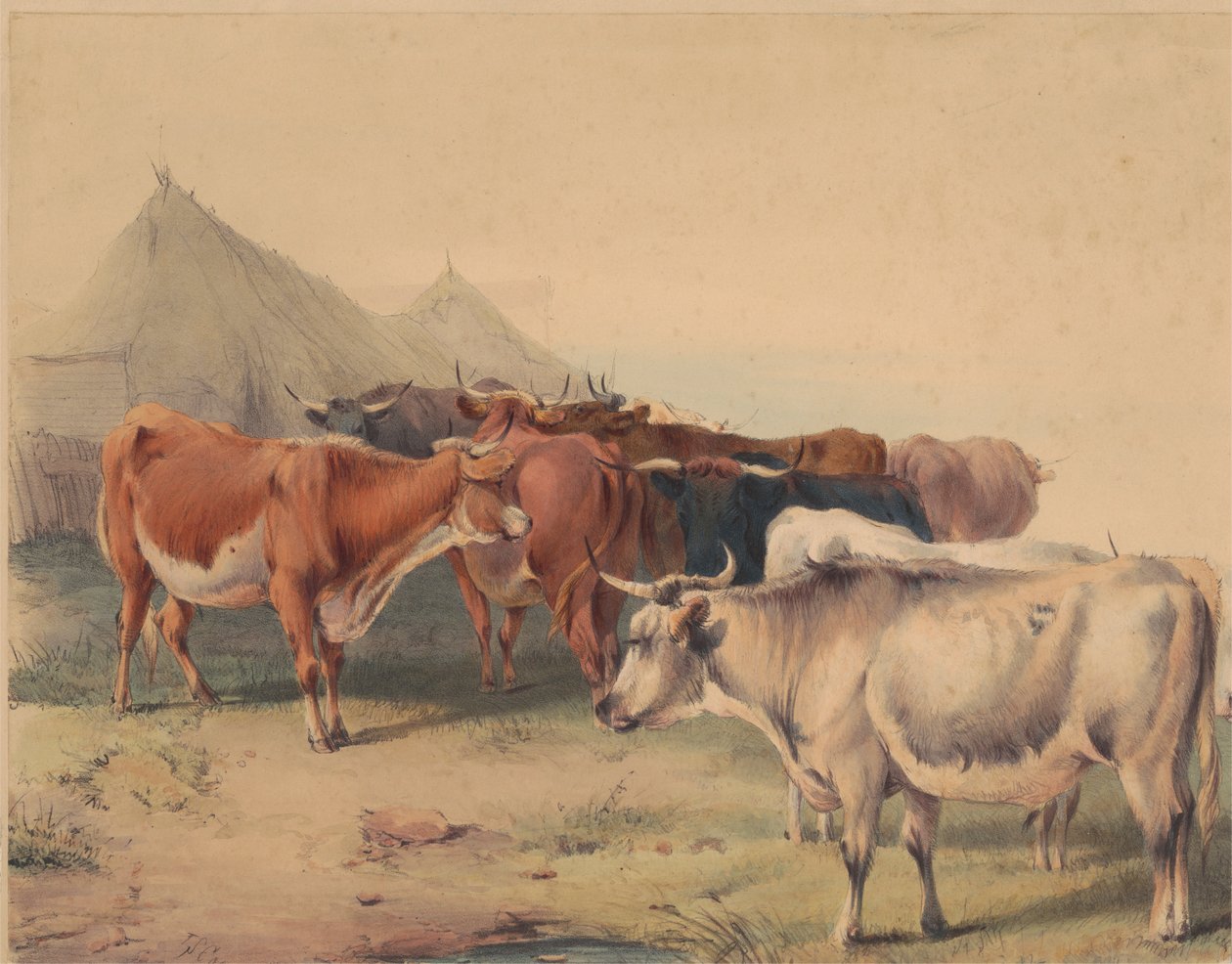 En flock boskap av Unknown artist