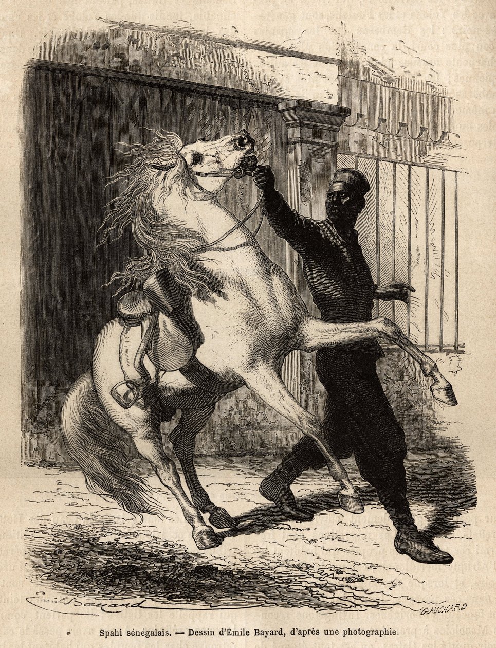 En senegalesisk spahi (kavaljer) i Saint-Louis (Saint Louis). Gravyr för att illustrera en kryssning på Afrikas kust, av viceamiral Fleuriot de Langle, 1868, publicerad i "" Le tour du monde""" 1872, redigerad av Edouard Charton, upplaga Hachette, Paris. av Unknown artist