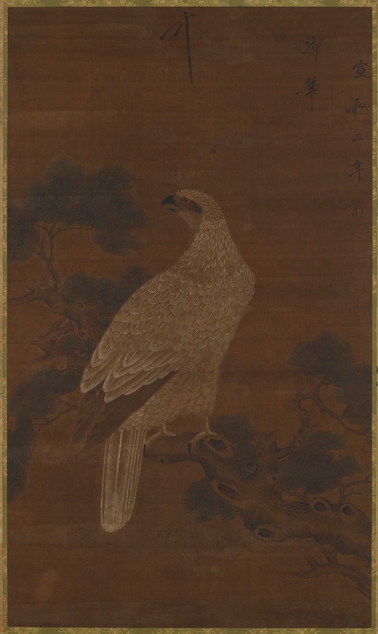 En vit örn på en tallgren av Unknown artist