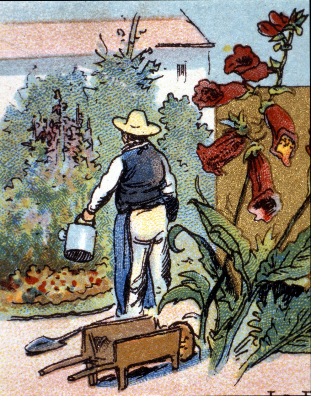 En trädgårdsmästare, kromolitografi av Unknown artist