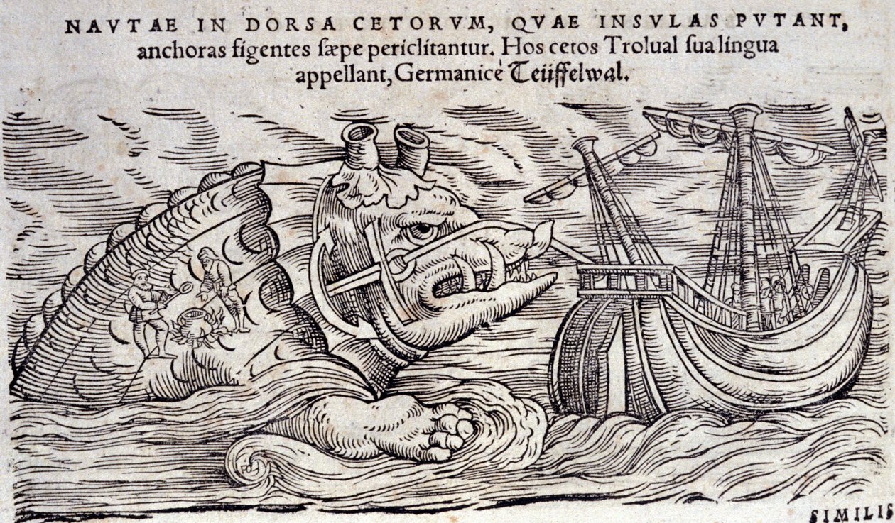 En val som förväxlas med en ö. Två personer tänder en eld på baksidan av ett marint monster. Gravyr och Historia Animalium av Conrad Gessner (1516-1565), Tiguri av Unknown artist