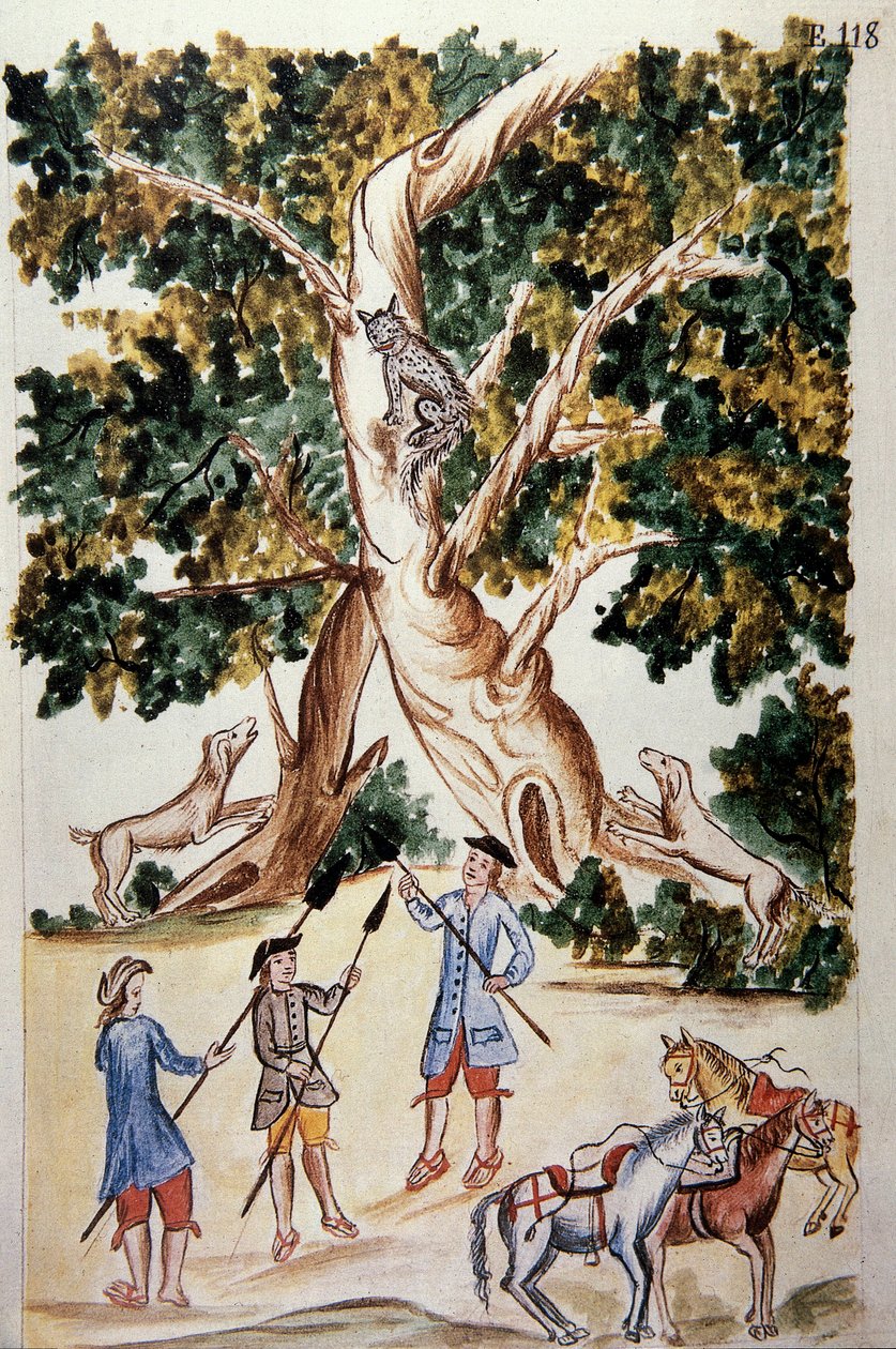 En vildkatt sätter sig på ett träd, jägare väntar på den, från boken "Trujillo del Peru" eller "Codex Martinez Companion", av Baltazar Martinez Companion och Bujanda, biskop av Trujillo (1782-1785) av Unknown artist