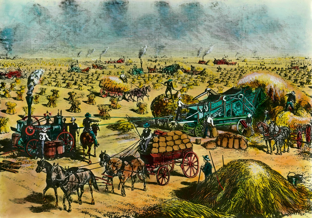 Jordbruksrevolution: skörda vete i Dakota med ångmaskiner på 1800-talet. Gravyr av 1800-talet. Paris, Dekorativ konst av Unknown artist