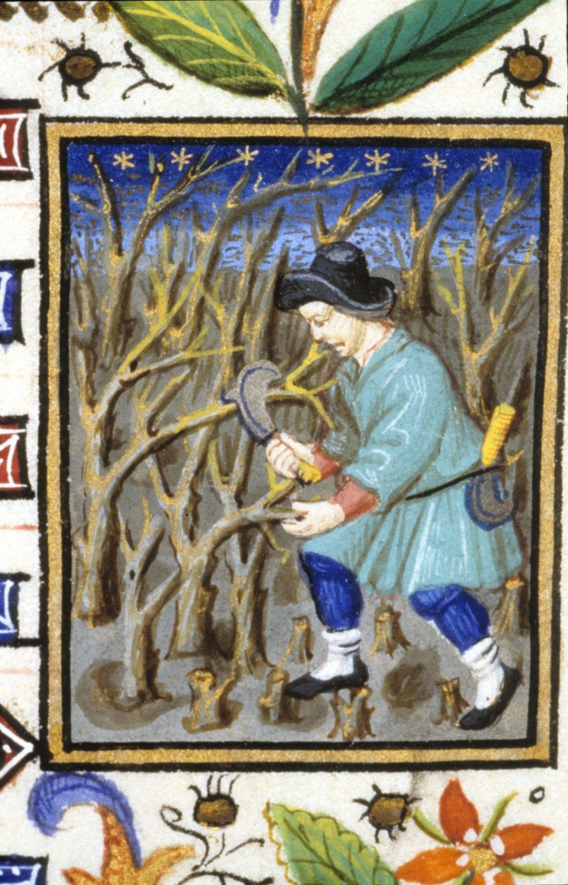 Allegorisk framställning av mars. En man som skär buskar (ritning). Miniatyr av ett 1300-talsmanuskript. av Unknown artist