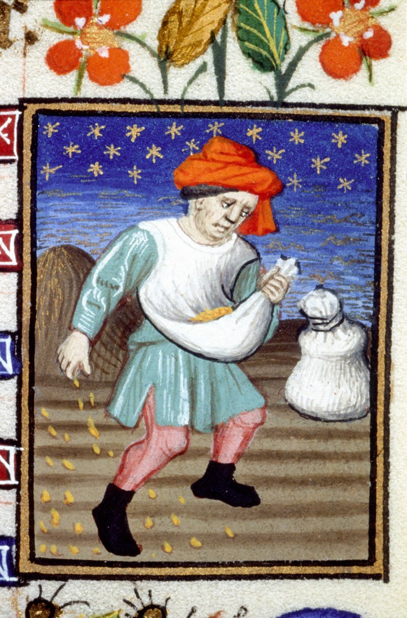 Allegorisk framställning av oktober. En bonde som sår säd. Miniatyr av ett 1300-talsmanuskript. av Unknown artist